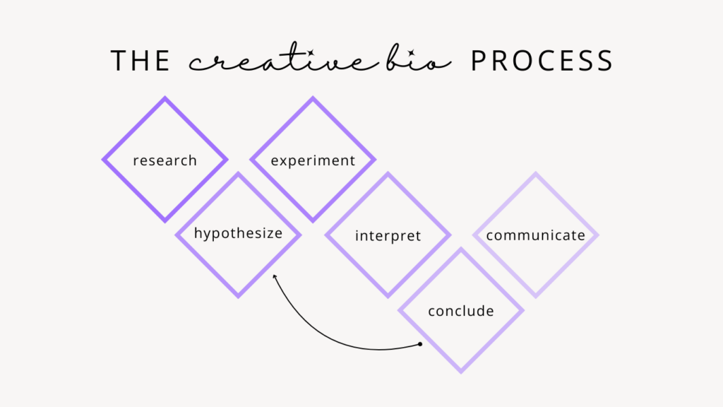 overview of the CBM process